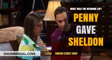 Penny's Heartfelt Wedding Gift to Sheldon: A Symbol of Their Bond