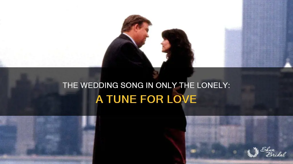 what was the wedding song in only the lonely