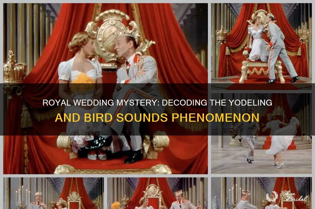 what was the yodeling or bird sounds after royal wedding