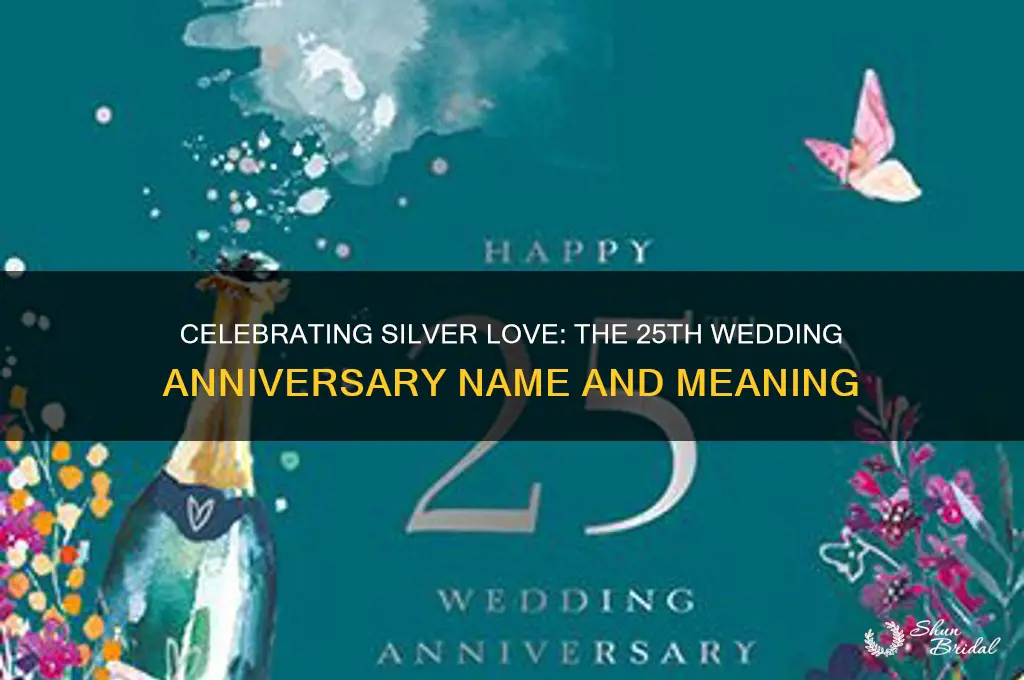 what we call 25th wedding anniversary