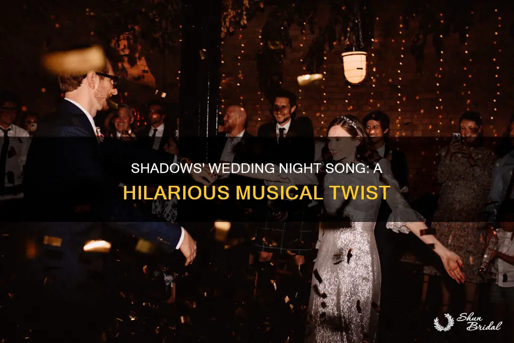 what we do in the shadows wedding night song