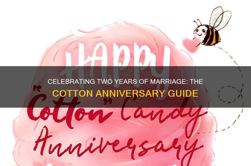 what wedding anniversary is 2 years