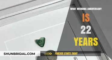 Celebrating 22 Years of Love: Your Wedding Anniversary Milestone