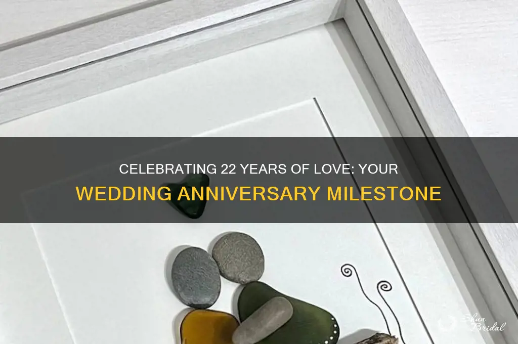 what wedding anniversary is 22 years
