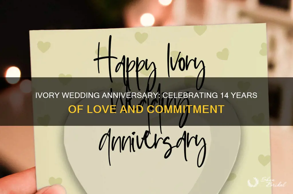 what wedding anniversary is ivoey