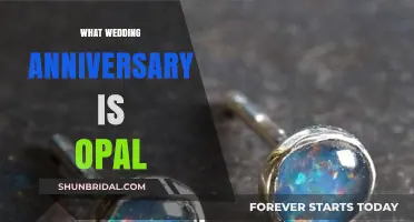 Opal's Anniversary: Celebrating 14 Years of Marriage with Style