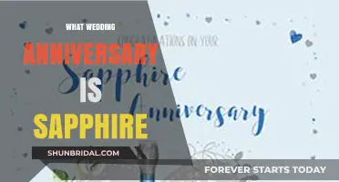 Celebrating 45 Years of Love: The Sapphire Wedding Anniversary
