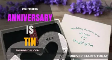 Celebrating a Decade of Love: The 10th Tin Wedding Anniversary