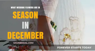 Winter Wedding Flowers: December's Seasonal Blooms