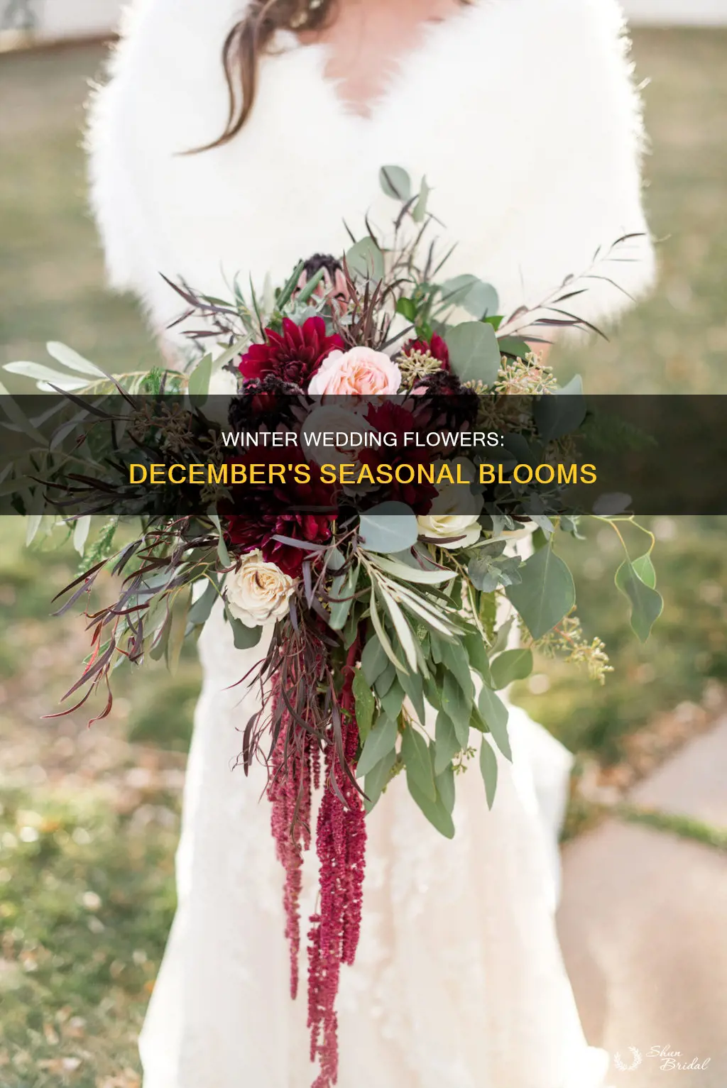 what wedding flowers are in season in december