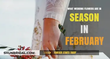 February Nuptials: Seasonal Blooms for Your Wedding