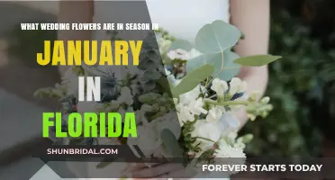 Florida's January Wedding Flowers: Seasonal Blooms