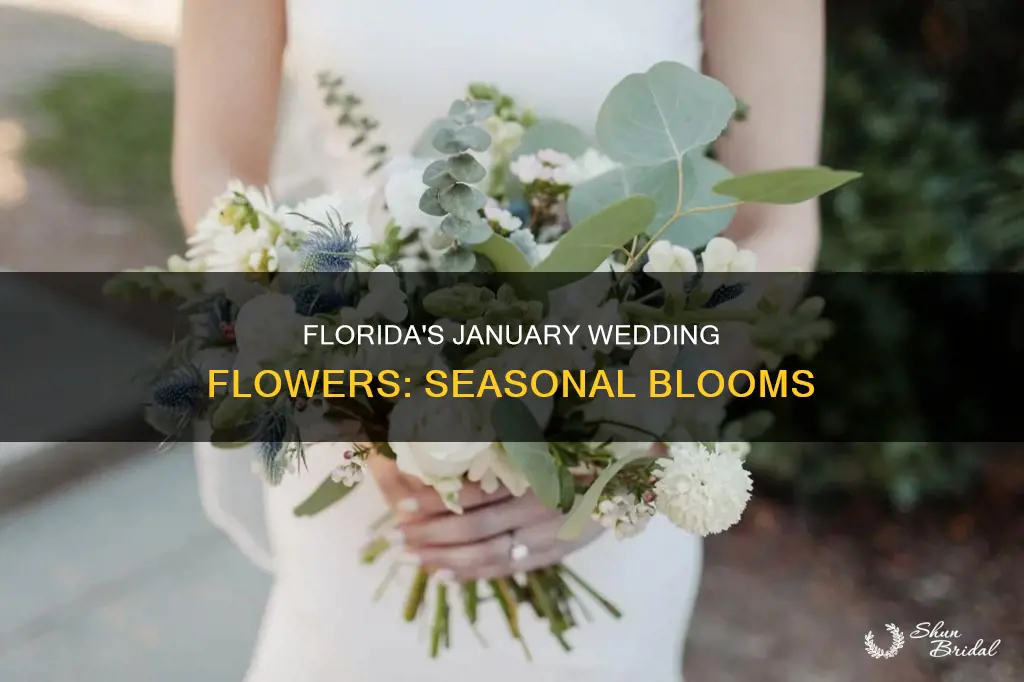 what wedding flowers are in season in january in Florida
