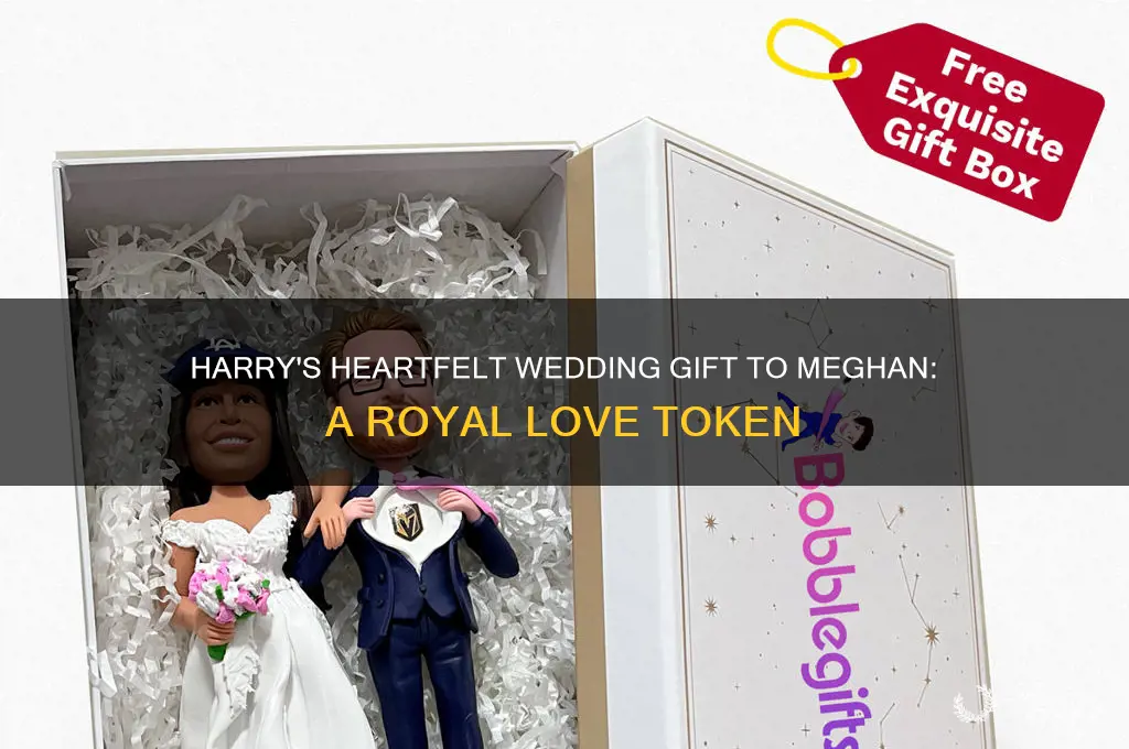 what wedding gift did harry give megan