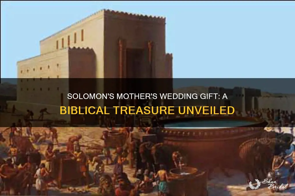 what wedding gift did solomons mother give him