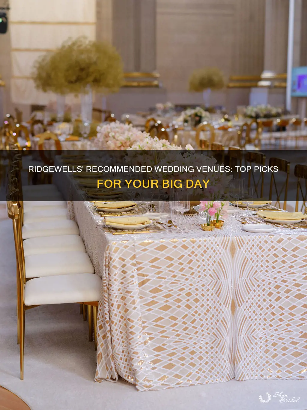 what wedding venues does ridgewells recommend