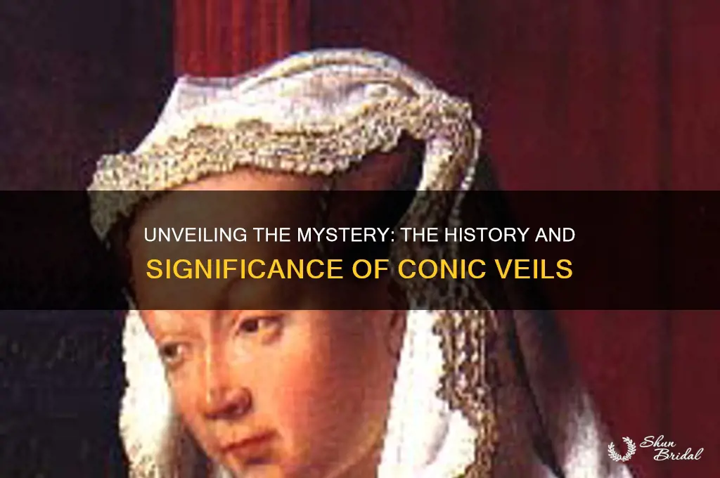 what were conic veils