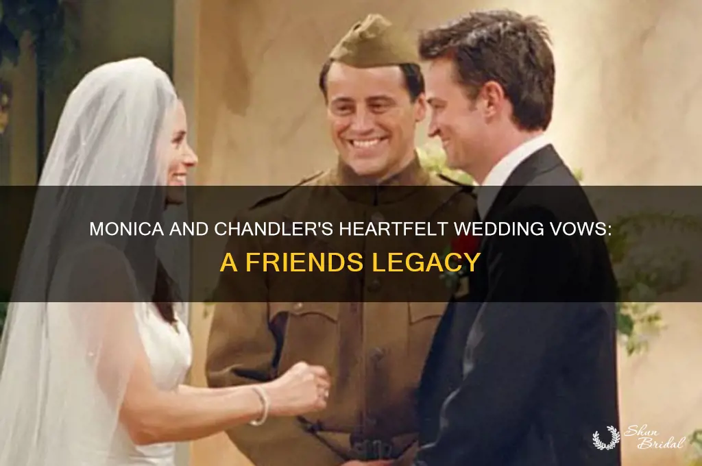what were monica and chandler