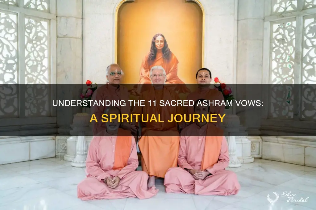 what were the 11 ashram vows