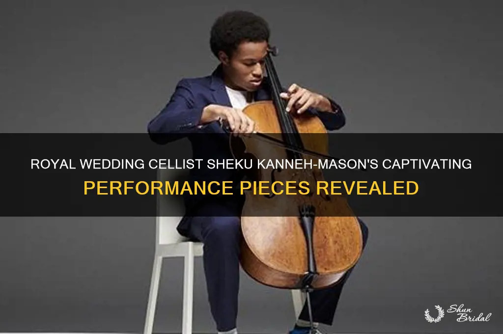 what were the pieces play by royal wedding cellist sheku