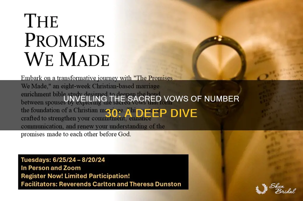 what were the vows in number 30