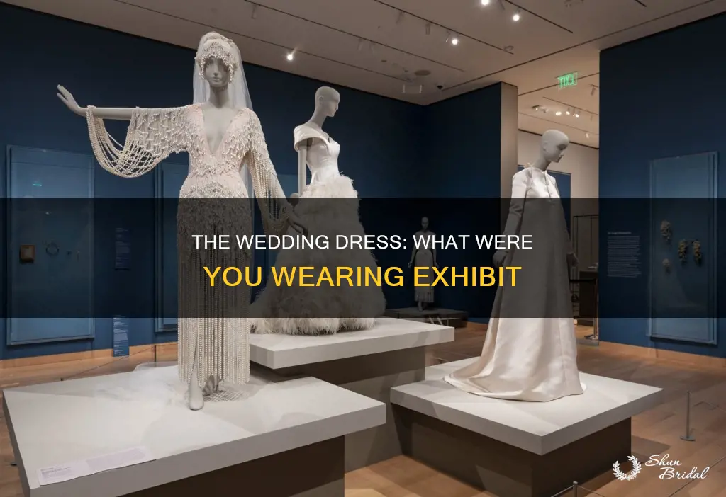 what were you wearing exhibit wedding dress