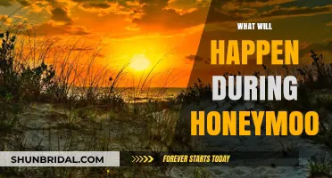 Honeymoon Bliss: Expectations, Surprises, and Unforgettable Moments Ahead