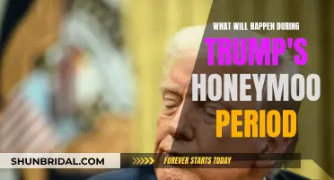 Trump's Honeymoon: What to Expect from the President