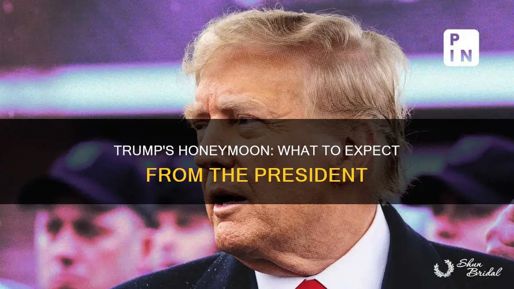 what will happen during trump