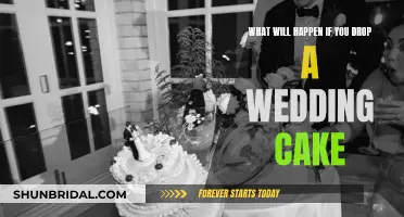 Wedding Cake Disaster: What to Do When It Falls