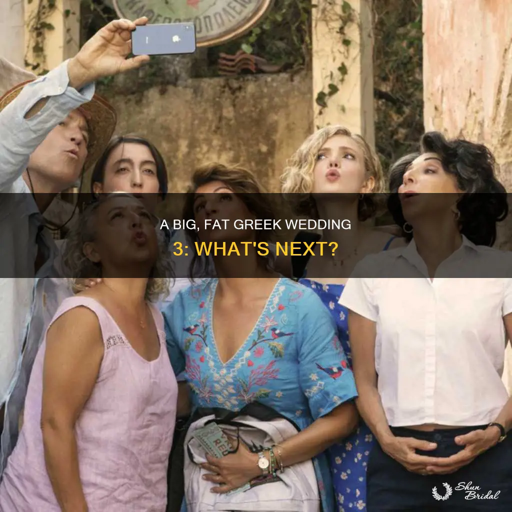 what will my big fat greek wedding 3 be about