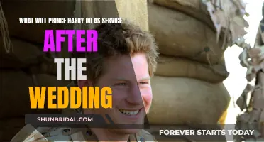 Prince Harry's Post-Wedding Service: What's Next?
