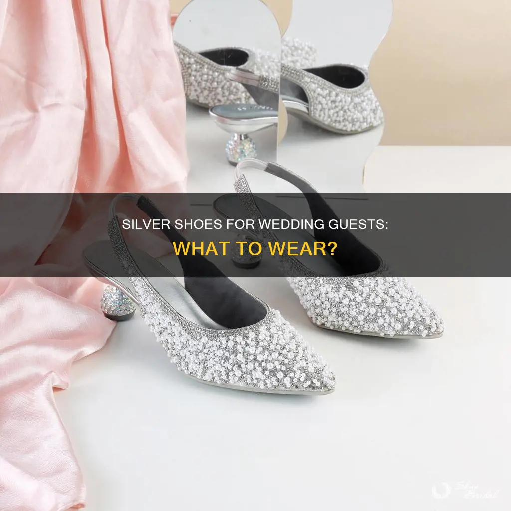 what womens dress silver shoes to wear at a wedding