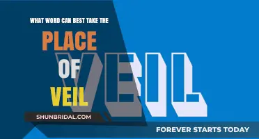 Unveiling Synonyms: Exploring the Perfect Word to Replace 'Veil