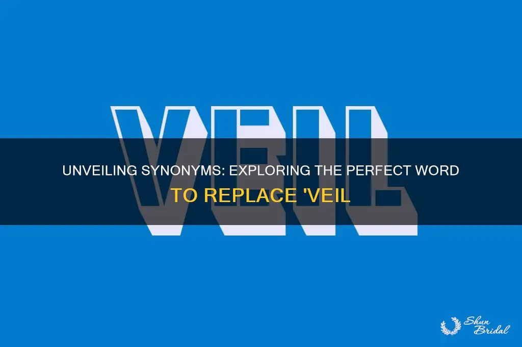 what word can best take the place of veil