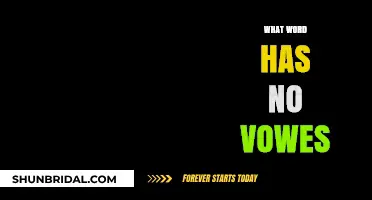 Unveiling the Unique: Words Without Vowels and Their Fascinating Origins