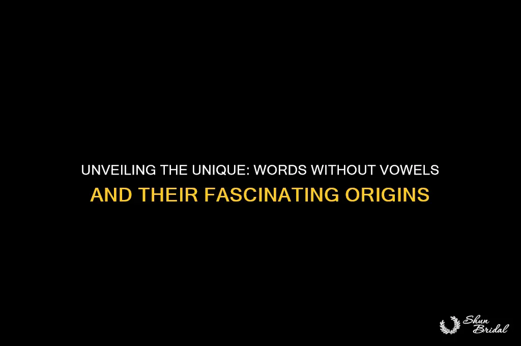 what word has no vowes