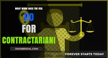Veil of Ignorance: Unveiling Contractarianism's Core Function and Impact