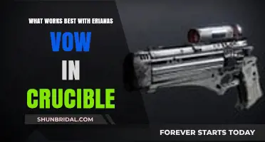 Erianas Vow Crucible Synergy: Top Loadouts and Strategies for Dominance