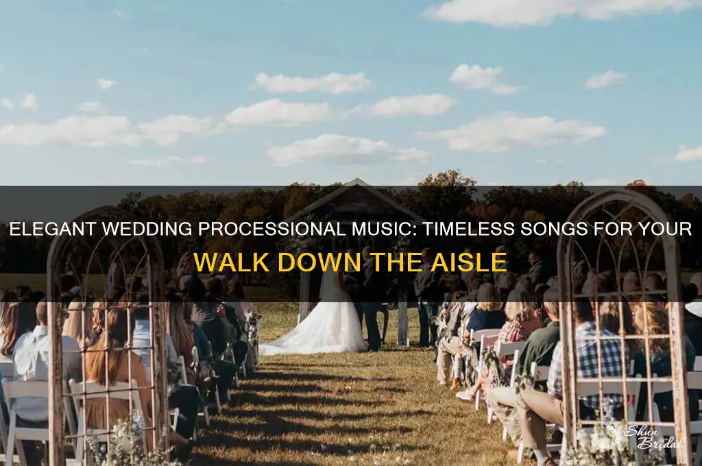 what would be playing in a wedding precessional