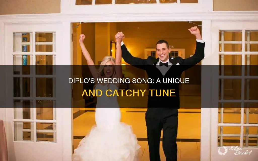 what would diplo do wedding song