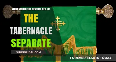 The Central Veil's Role: Separating the Holy from the Most Holy