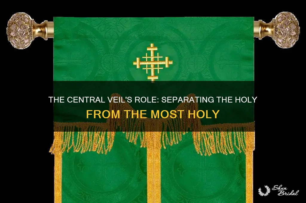 what would the central veil of the tabernacle separate