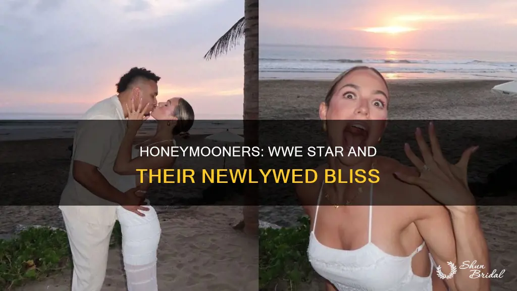 what wwe star is on his honeymoon