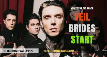 When Did Black Veil Brides Begin Their Musical Journey?