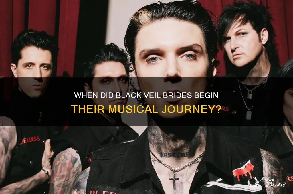 what year did black veil brides start
