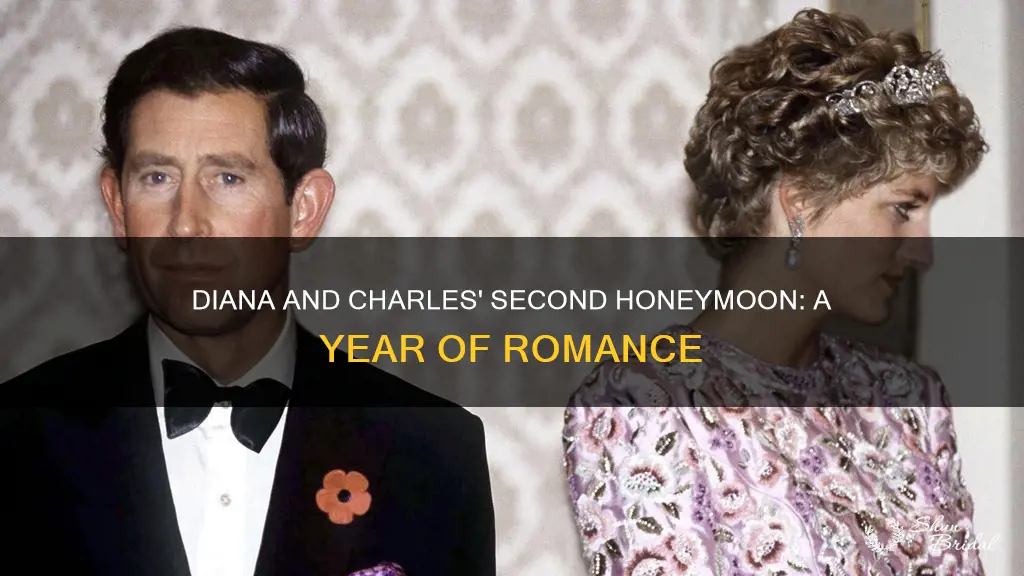 what year did charles and diana go on second honeymoon