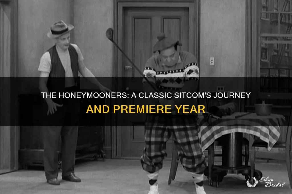 what year did honeymooners start