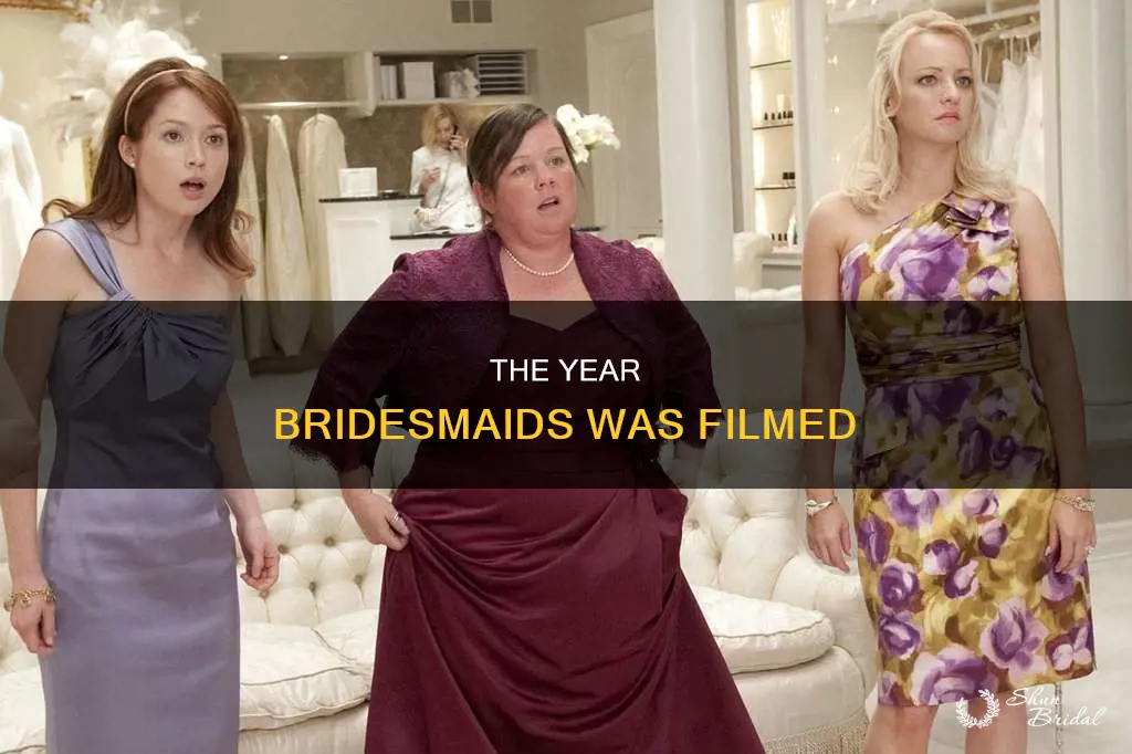 what year was bridesmaids filmed