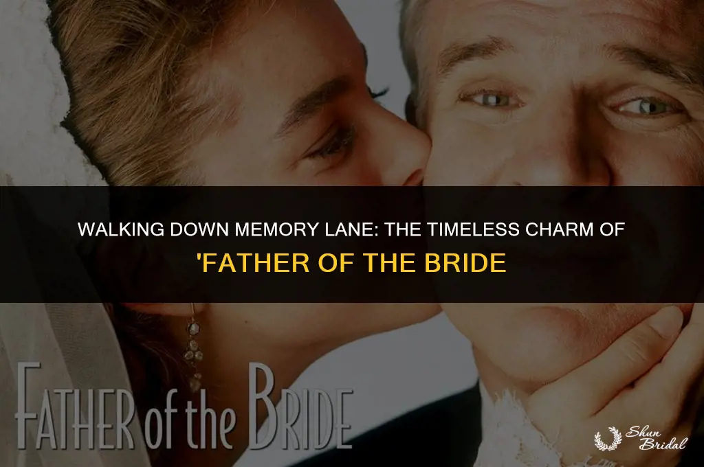 what year was father of the bride
